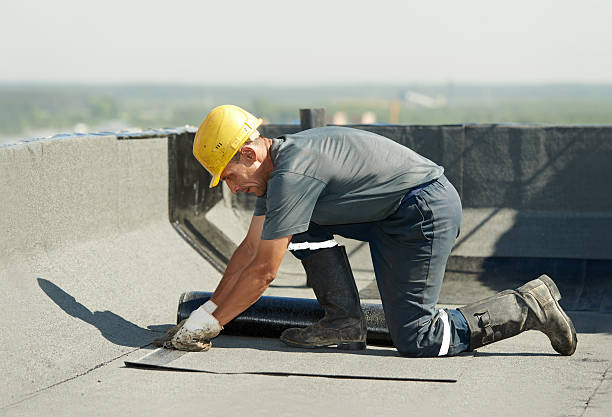Best Specialized Insulation Services in Kerens, TX